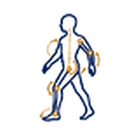 運動経験