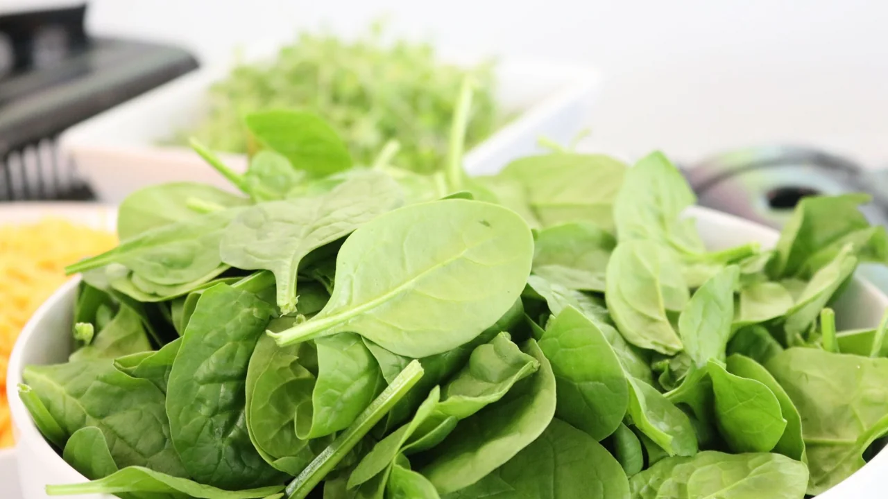 ほうれん草など新鮮な葉物野菜